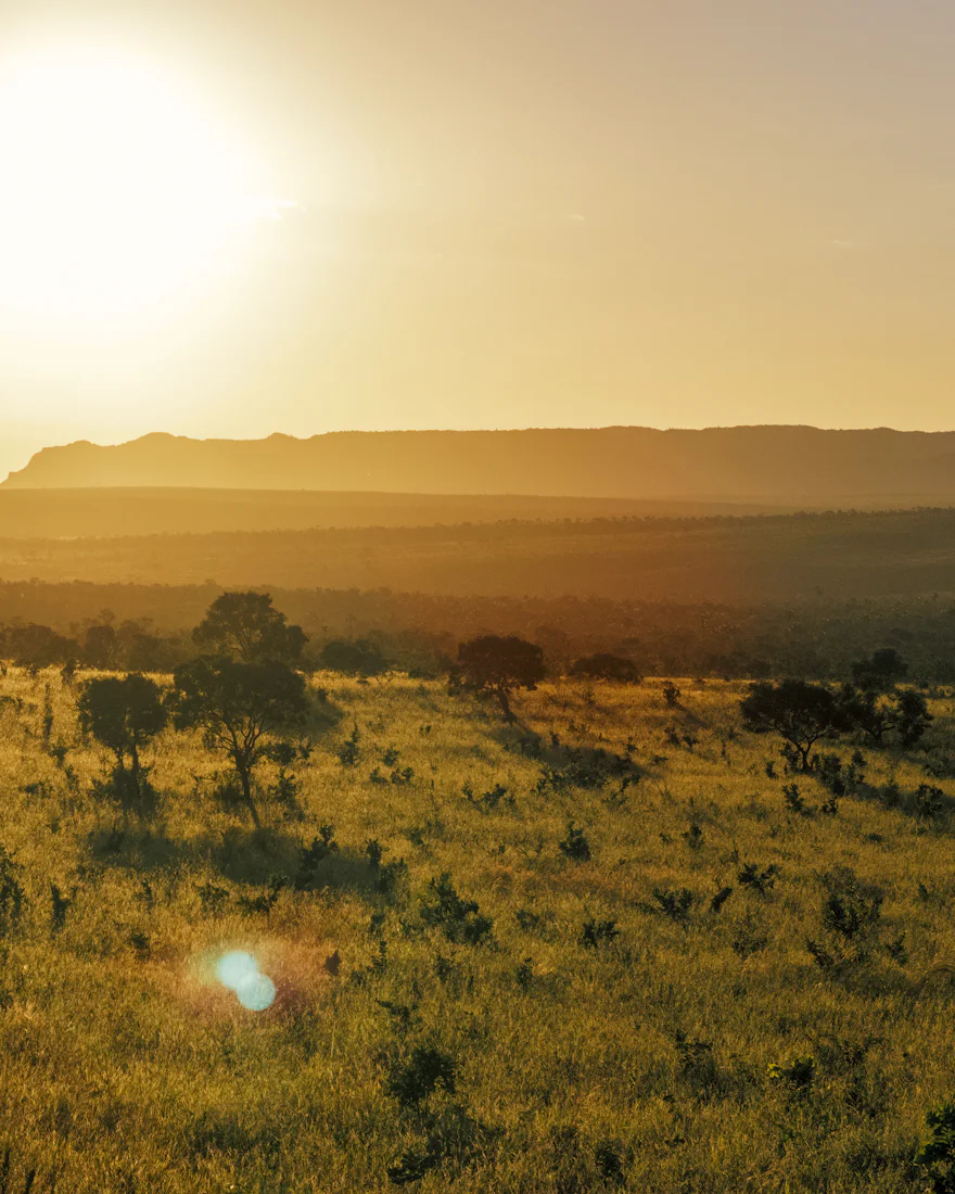 Cerrado ao entardecer, com árvores dispersas e colinas ao fundo