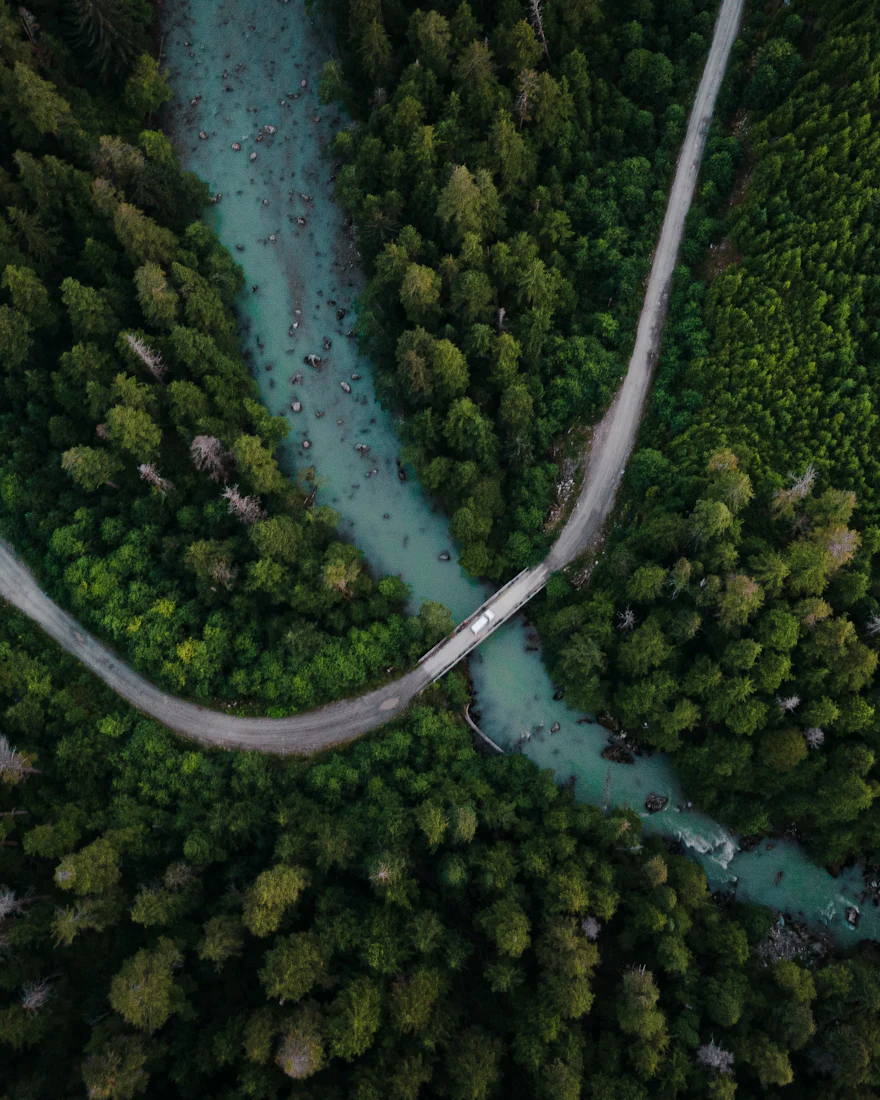 Vista aérea de rio cortando floresta densa